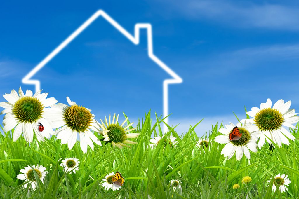 Symbol of a house on green sunny field